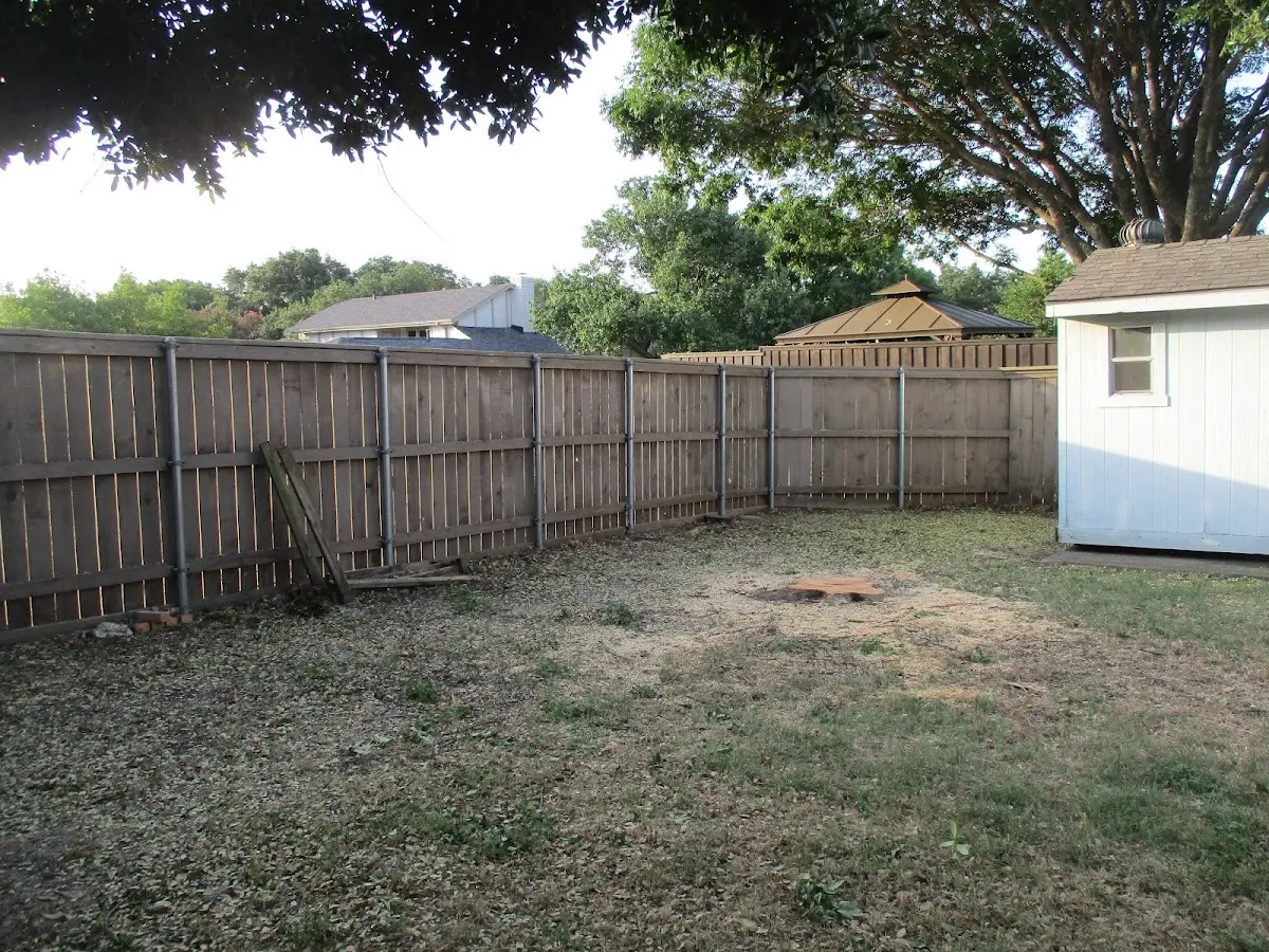 Cleared yard after professional tree removal in Horse Creek
