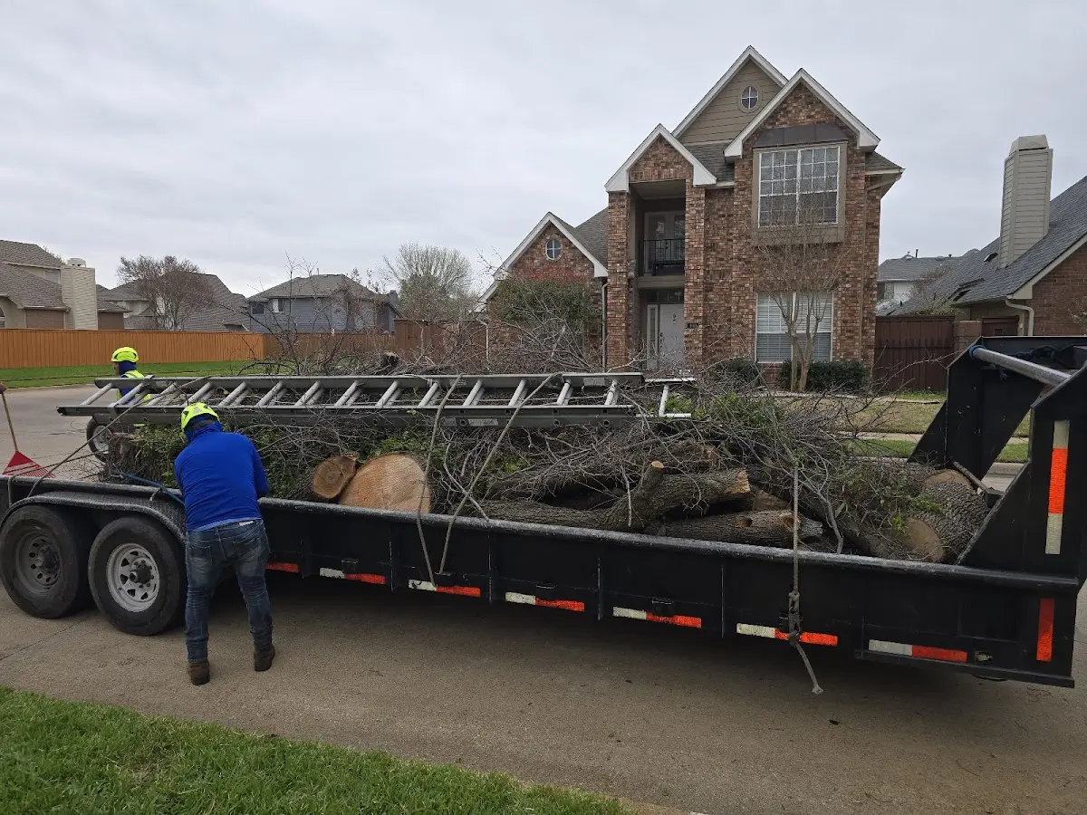 Expert Crown Reduction with proper safety equipment in Horse Creek